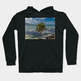 Caribbean Island Hoodie